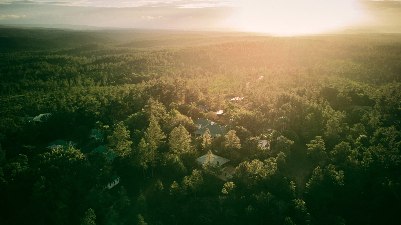 aerial shot of isolated lodge in pine ridge