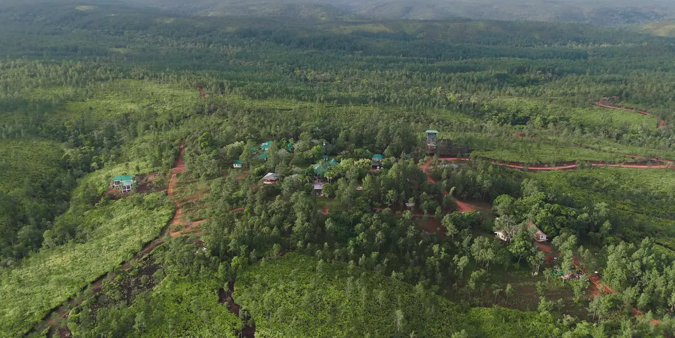 aerial shot of eco lodge in belize